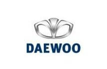 logo20